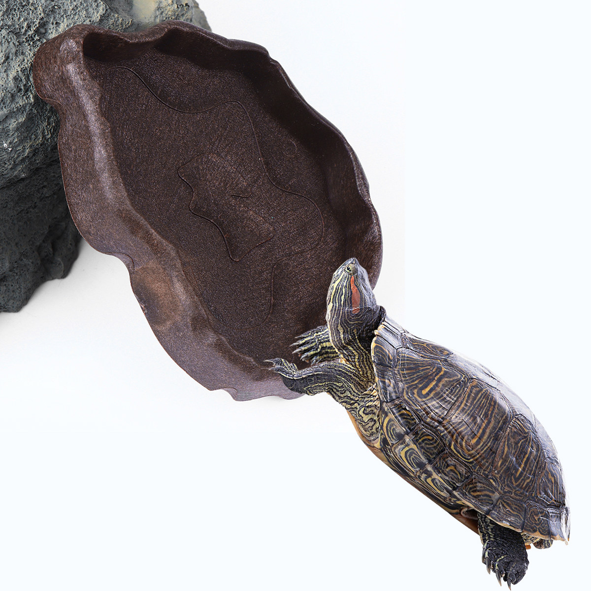Reptile Resin Food Dish Coffee - огляд і ціна Water Dish Reptile
