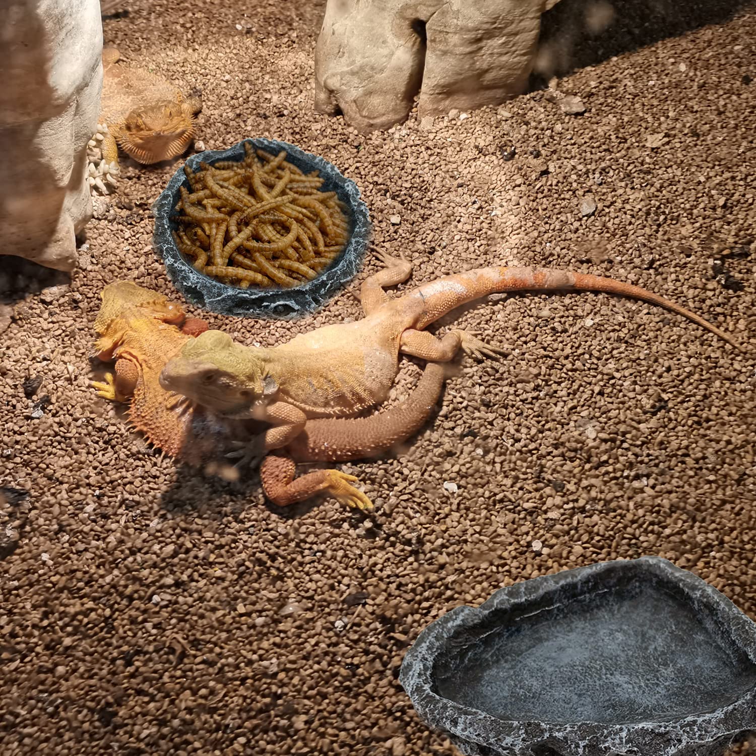 1/2 Pack Reptile Feeding Dish  - огляд і ціна Water Dish Reptile