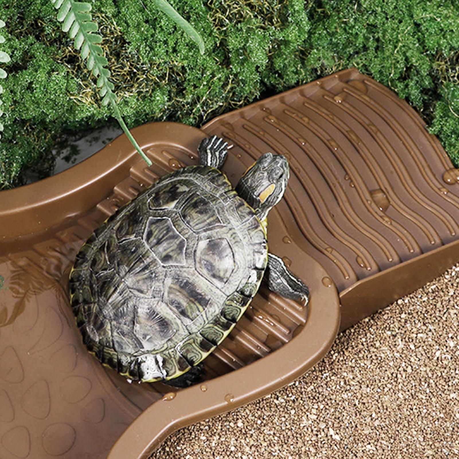 Reptile Bathing Pool with Ramp - огляд і ціна Water Dish Reptile