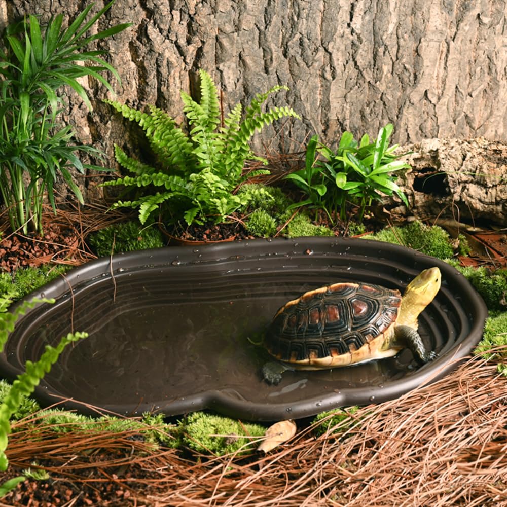 Reptile Bathing Dish Amphibian - огляд і ціна Water Dish Reptile