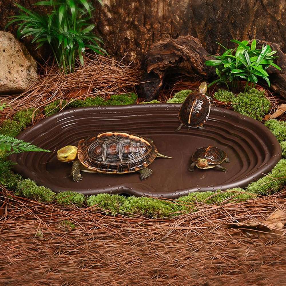 Reptile Bathing Dish Amphibian - огляд і ціна Water Dish Reptile