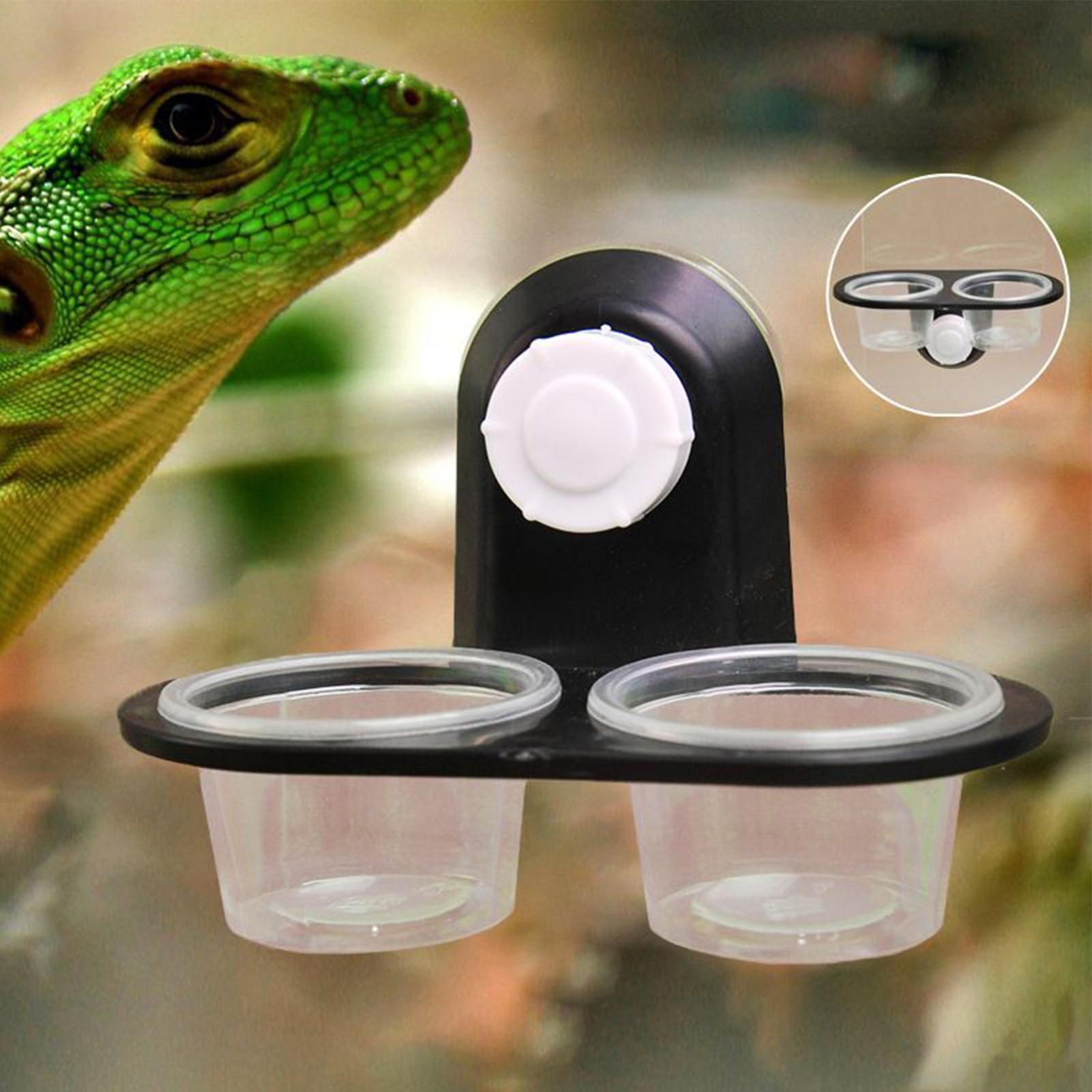 Gecko Food Dish Gecko Feeding  - огляд і ціна Water Dish Reptile