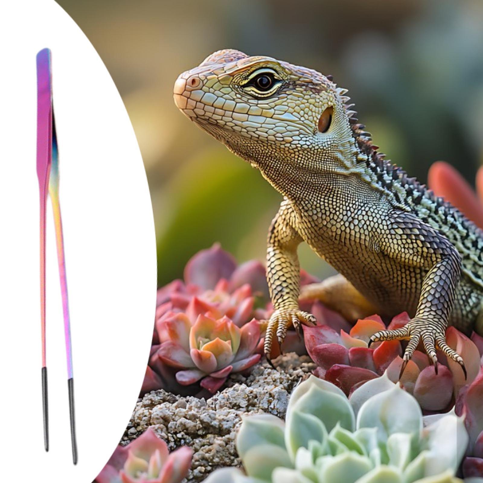 Small Pet Supplies Reptile Fee - огляд і ціна Feeding Tong Stainless