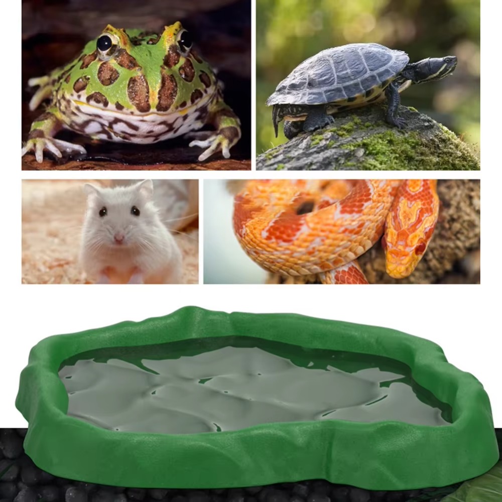 ABS Resin Reptile Feeder Bowl  - огляд і ціна Water Dish Reptile