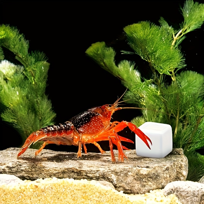 6 Pcs Fish Tank Calcium Block  - огляд і ціна Calcium Powder Reptile